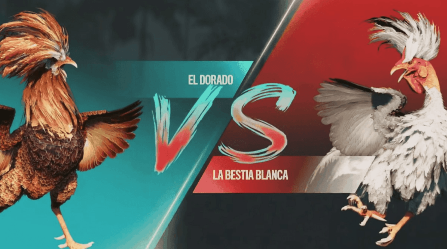79r Slots Modernos e Plataforma Mobile